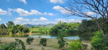 ายที่ดินติดแม่น้ำแควน้อย เมืองกาญจนบุรี 17 ไร่ พร้อมบ้านริมน้ำสวยๆ ปลูกต้นทุเรียน และผลไม้อื่นๆ ไว้แล้ว เอกสาารเป็นโฉนด