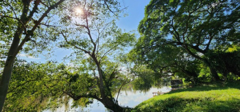 ขายที่ดินติดแม่น้ำแควน้อย เมืองกาญจนบุรี หน้าน้ำกว้าง ขนาด 9 ไร่ บรรยากาศวิวดีมาก น้ำใส ลมเย็น เหมาะสร้างบ้านพักตากอากาศ  ทำรีสอร์ท 